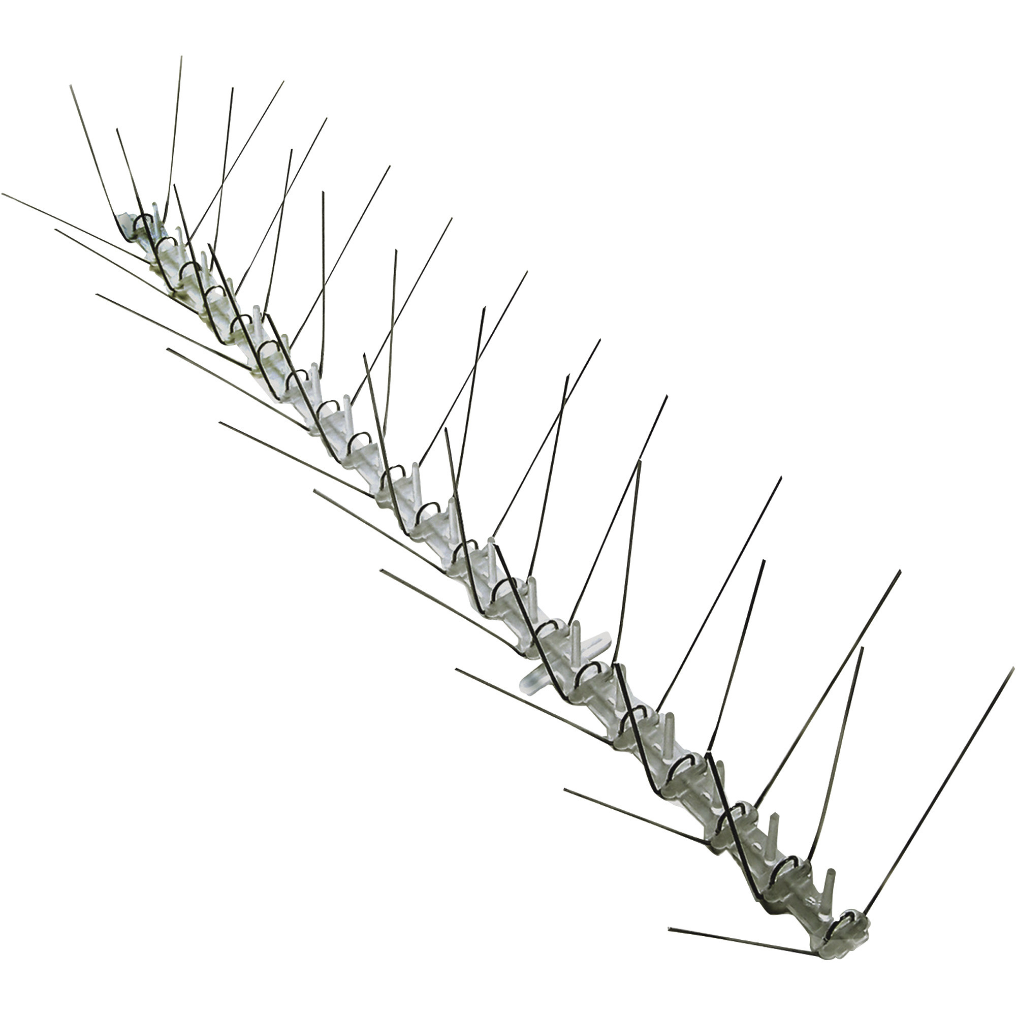 Bird-X Stainless Steel Bird Spikes, 50ft.L x 5in.W, Model# STS-50